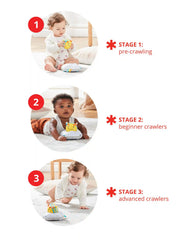 Explore & More Follow-Bee Baby Crawl Toy
