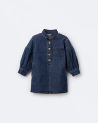 Toddler Girl Puff-Sleeve Denim Dress - Blue