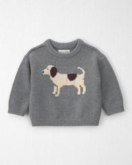 Baby Organic Cotton Dog Sweater Knit Pullover