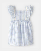 Toddler Girl Plaid Ruffle-Sleeve Dress - Blue/White