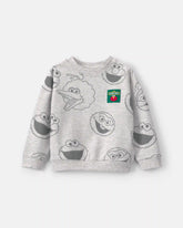 Toddler 'Sesame Street' Fleece Pullover Sweatshirt - Grey