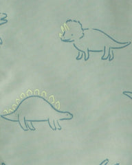 Boys Dinosaur Raincoat - Green