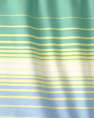 Boys Striped Swim Trunks - Green/Blue
