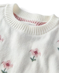 Baby Girl 2-Piece Organic Cotton Knit Pullover & Pant Set in Wildflower Maze