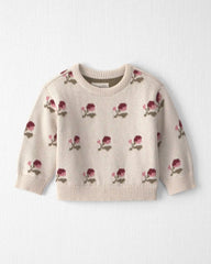 Baby Organic Cotton Sweater Knit Pullover in Wildflower Maize