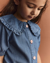 Toddler Girl Peter Pan Collar Top in Chambray