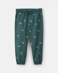 Baby Boy 2-Piece Dinosaur Fleece Hooded Top & Pant Set - Grey/Green