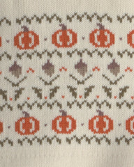 Toddler Organic Cotton Fair Isle Sweater Knit Pullover