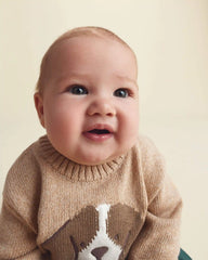 Baby Boy 2-Piece Dog Sweater Top & Pant Set - Brown/Green