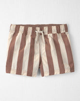 Toddler Boy Recycled Swim Trunks in Brown Stripes