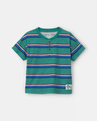 Toddler Boy Striped Henley T-Shirt - Green/Blue