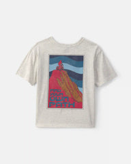 Boys 'Untamed Terrain' Graphic Tee - Grey