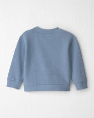 Toddler Boy Organic Cotton Big Bro Pullover