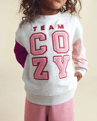 Toddler Girl 'Team Cozy' French Terry Pullover Sweatshirt - Grey/Pink/Purple