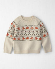 Toddler Organic Cotton Fair Isle Sweater Knit Pullover