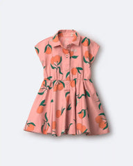 Toddler Girl Avenue Twirl™ Dress in Clementine Grove Print - Light Pink