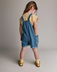 Toddler Embroidered Shortall with Pockets in Chambray