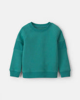 Toddler Boy Fleece Pullover Sweatshirt - Green