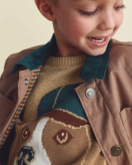 Boys Dog Sweater - Brown