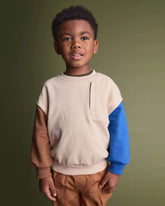 Toddler Boy Colorblock Pullover Sweatshirt - Khaki
