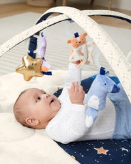 Celestial Dreams Activity Gym