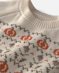 Toddler Organic Cotton Fair Isle Sweater Knit Pullover