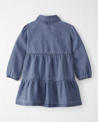 Toddler Girl Organic Cotton Denim Dress