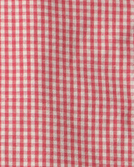 Toddler Boy 2-Piece Top & Short Set Made with Organic Cotton in Red Gingham