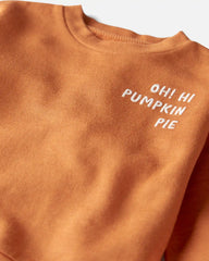 Toddler Organic Cotton Pumpkin Pie Pullover