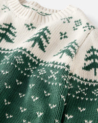 Toddler Organic Cotton Fair Isle Sweater Knit Pullover