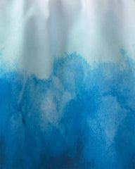 Boys Ombre Swim Trunks