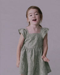 Toddler Girl Embroidered Flutter Sleeve Dress in Floral Print - Green