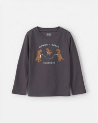Toddler Boy Dinosaur Long-Sleeve Graphic Tee - Grey