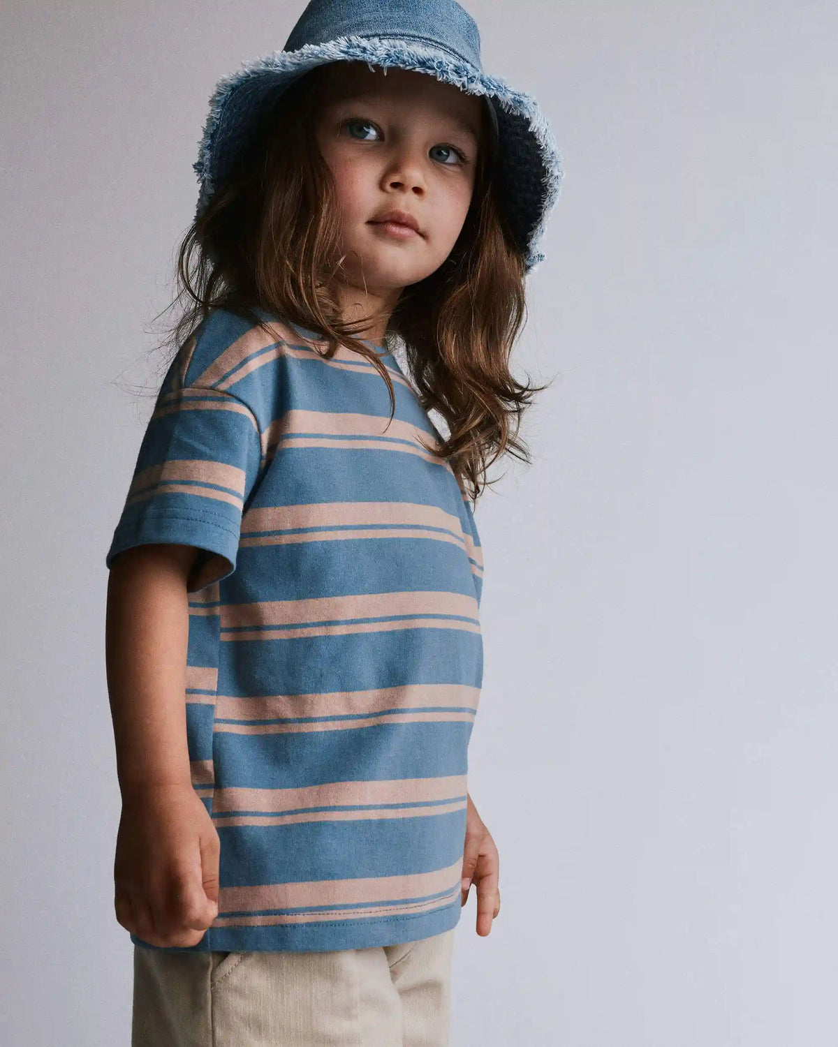 Toddler Relaxed Tee in Stripes - Slate Blue/Brown