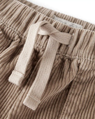 Toddler Boy Organic Cotton Corduroy Pants