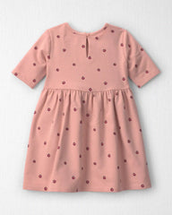 Toddler Girl Organic Cotton French Terry Dress in Apples
