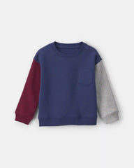 Toddler Boy Color Block Fleece Pullover Sweatshirt - Navy Blue/Burgundy/Grey