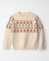 Kids Organic Cotton Fair Isle Sweater Knit Pullover