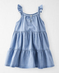 Toddler Girl Organic Cotton Chambray Dress