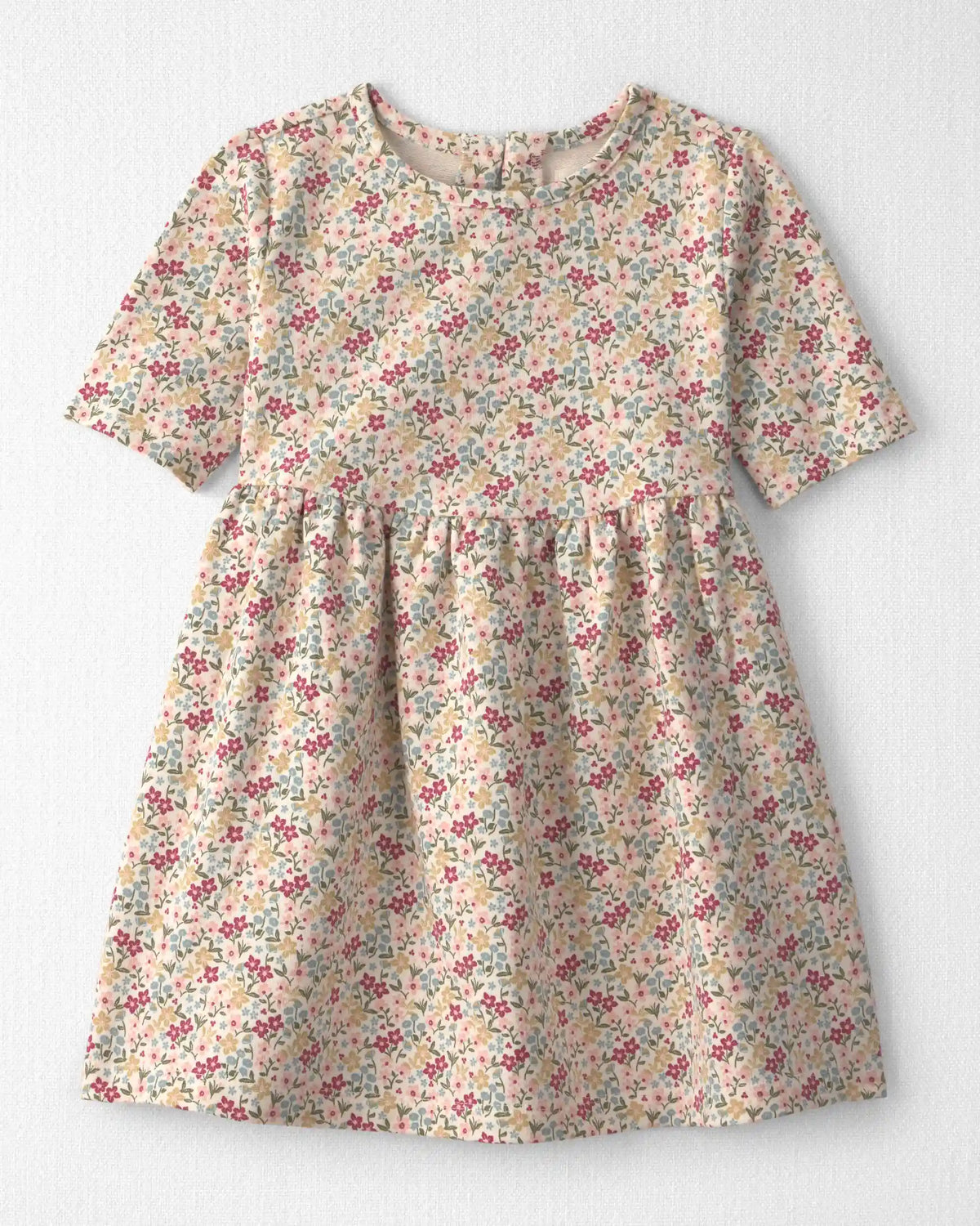Toddler Girl Organic Cotton French Terry Dress in Floral