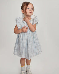 Toddler Girl Plaid Ruffle-Sleeve Dress - Blue/White