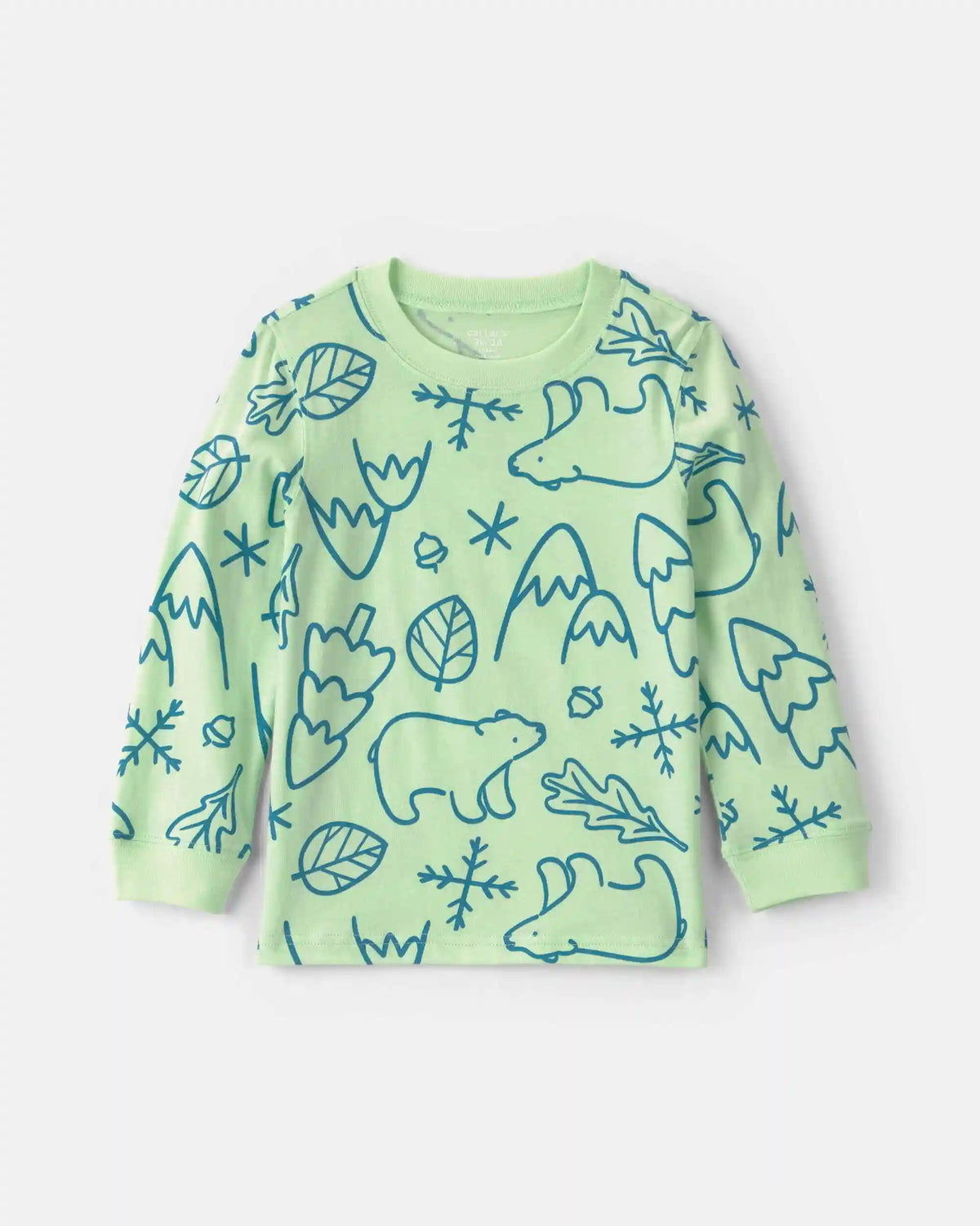 Toddler Boy Winter Long-Sleeve T-Shirt - Green/Blue