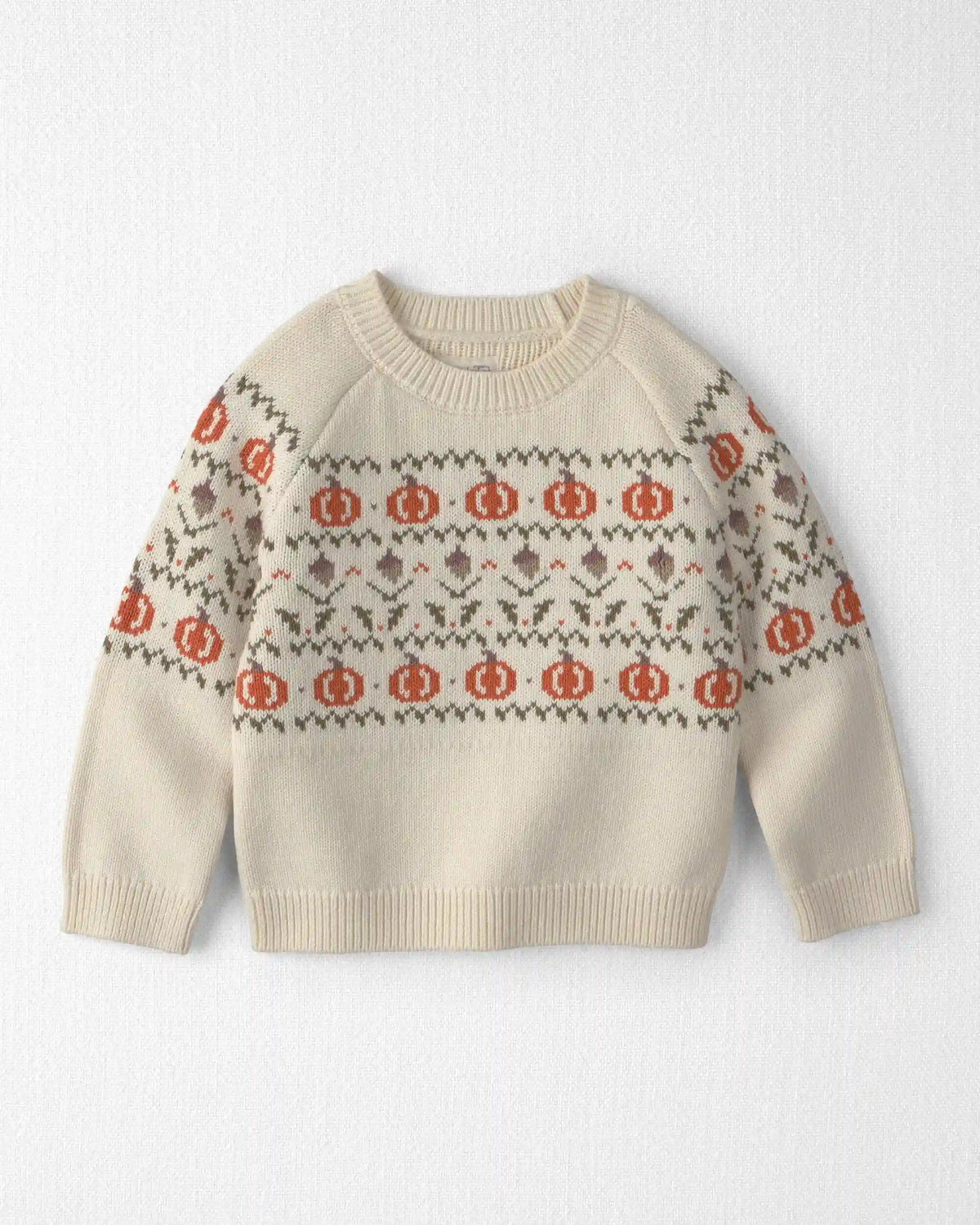 Toddler Organic Cotton Fair Isle Sweater Knit Pullover