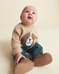 Baby Boy 2-Piece Dog Sweater Top & Pant Set - Brown/Green