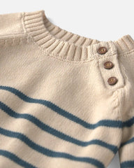 Baby 2-Piece Organic Cotton Knit Sweater & Pant Set in Stripes