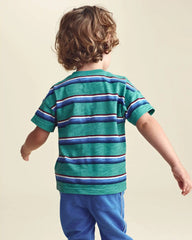 Toddler Boy Striped Henley T-Shirt - Green/Blue